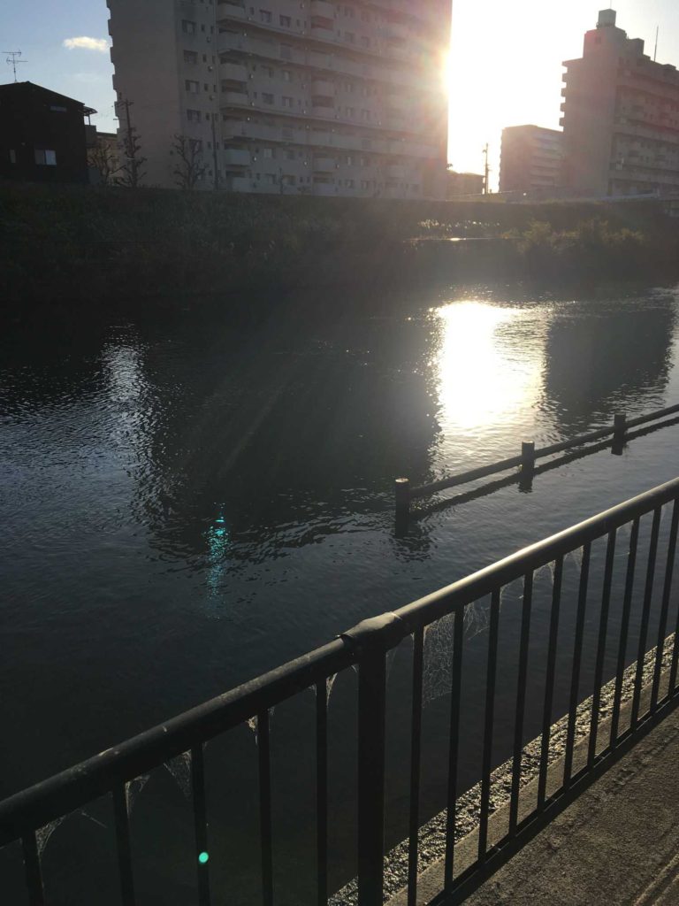 神崎川のマンメイドストラクチャー