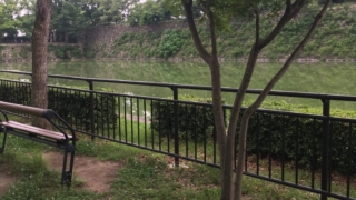 大阪城公園の堀と木
