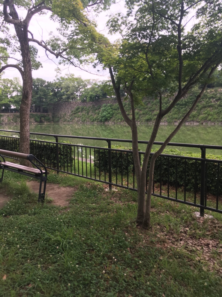 大阪城公園の堀と木